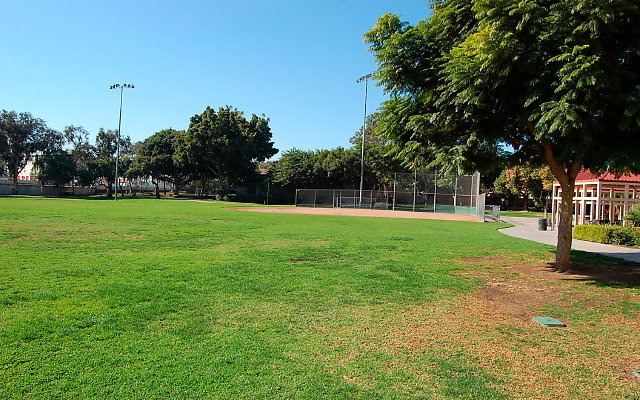 DSC 0005