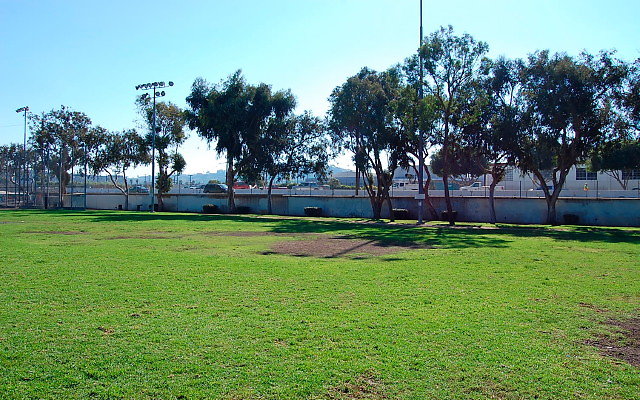 DSC 0033
