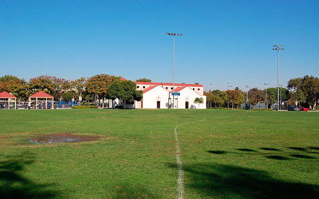 DSC 0010