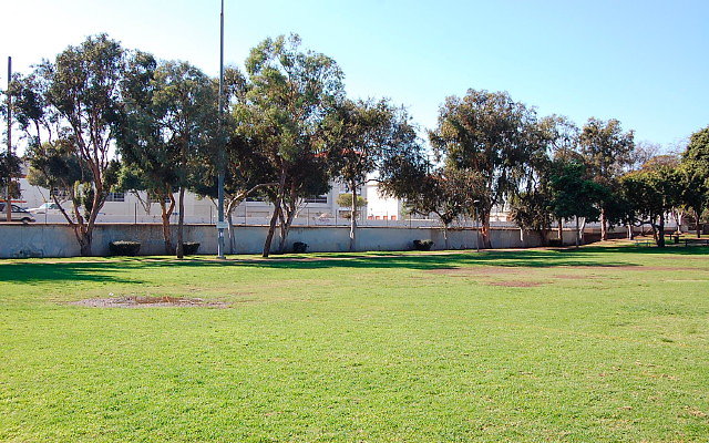 DSC 0016