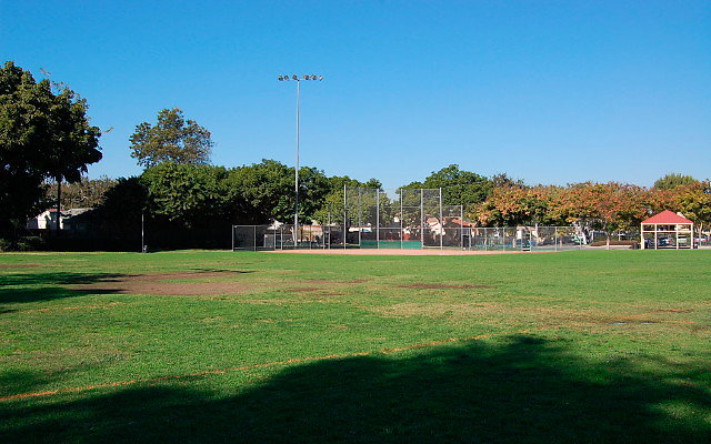 DSC 0009
