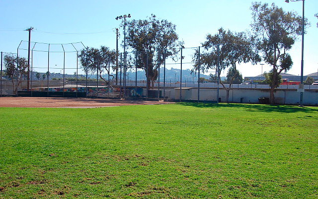 DSC 0024