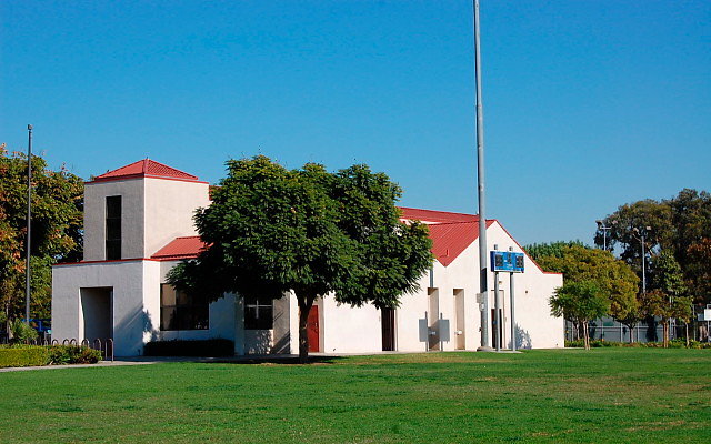 DSC 0042a