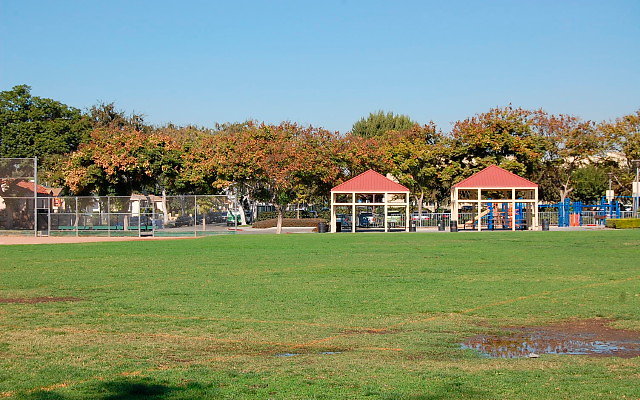 DSC 0012