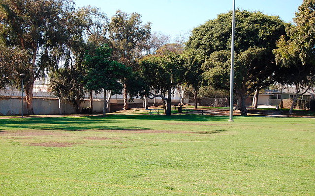 DSC 0019