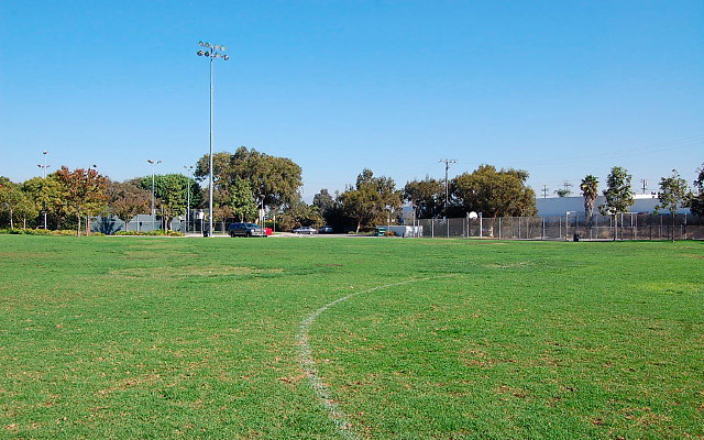 DSC 0022
