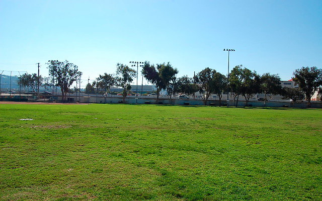 DSC 0004
