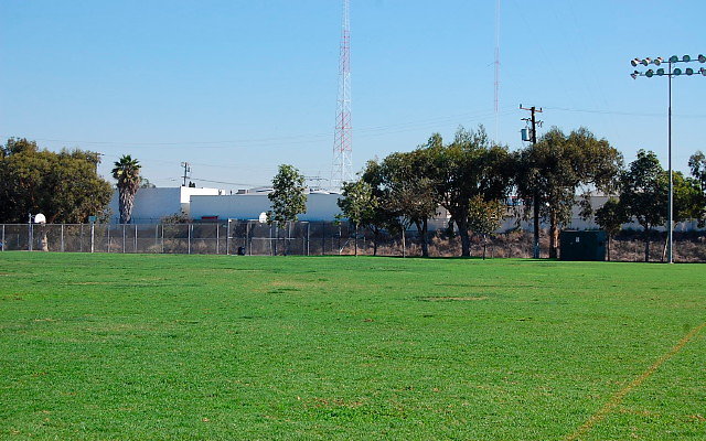 DSC 0035