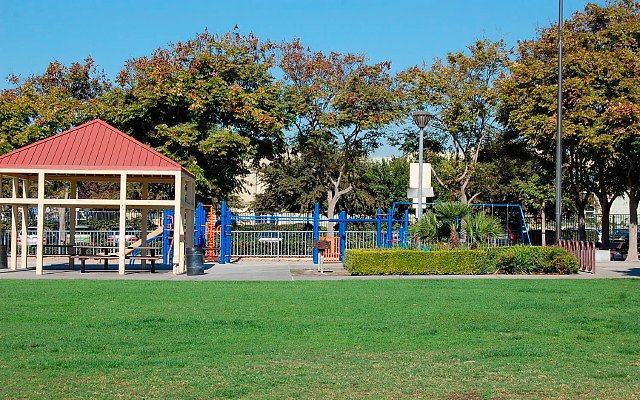 DSC 0041