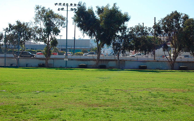 DSC 0007