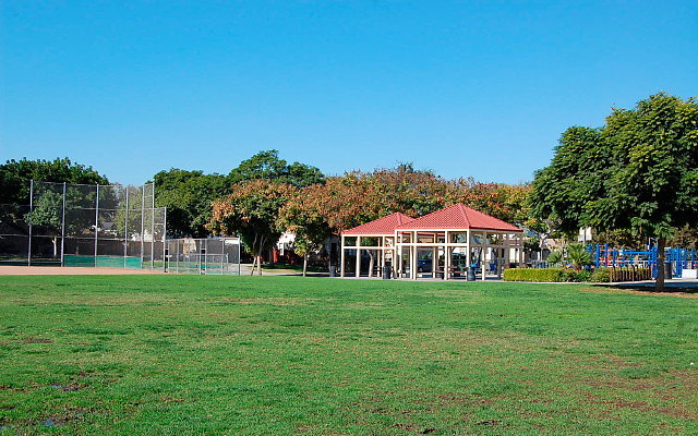 DSC 0043