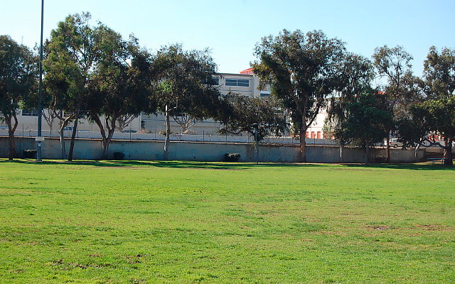 DSC 0008
