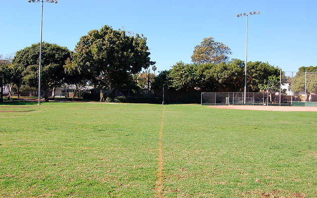 DSC 0017