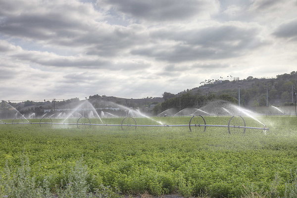 Farm 07