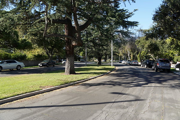 Woodward.Blvd.E.Pas.118