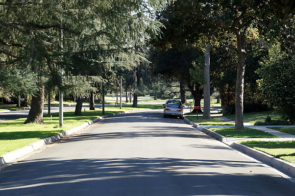 Woodward.Blvd.E.Pas.75