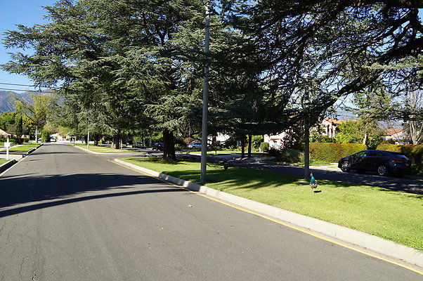 Woodward.Blvd.E.Pas.47