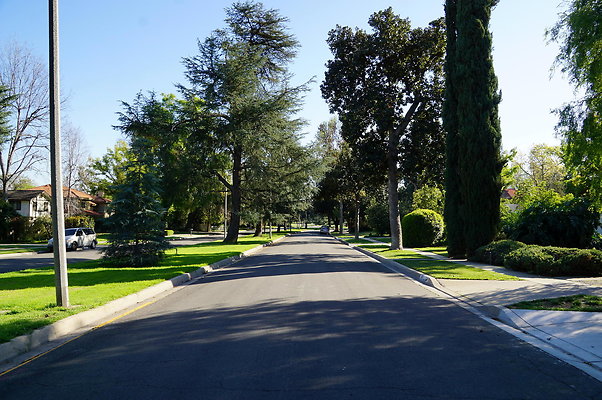 Woodward.Blvd.E.Pas.74