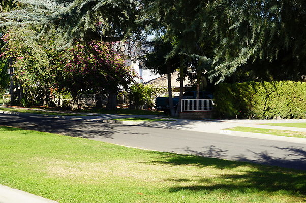 Woodward.Blvd.E.Pas.61