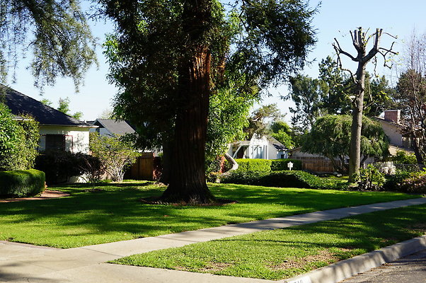 Woodward.Blvd.E.Pas.19
