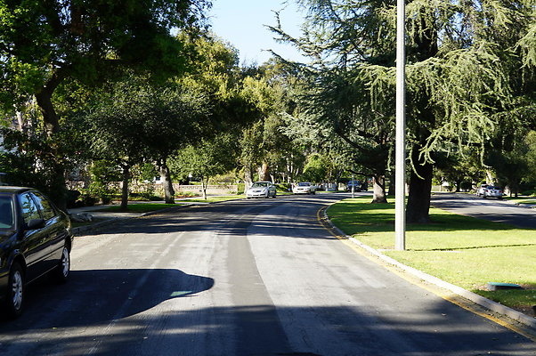 Woodward.Blvd.E.Pas.96