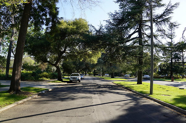 Woodward.Blvd.E.Pas.131
