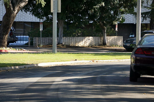 Woodward.Blvd.E.Pas.112