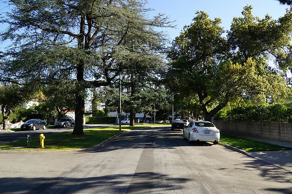 Woodward.Blvd.E.Pas.110