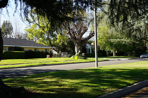 Woodward.Blvd.E.Pas.31