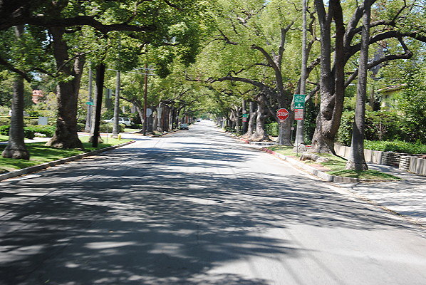 DSC 0181