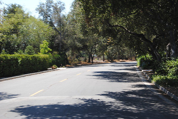 DSC 0139
