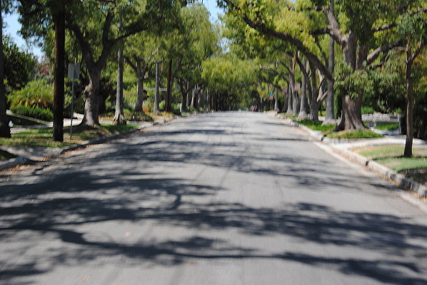 DSC 0177