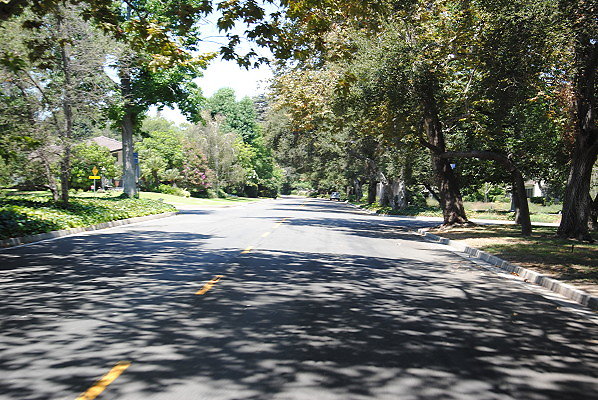 DSC 0146