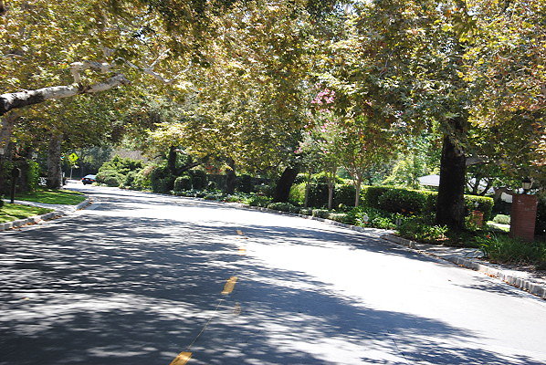 DSC 0127
