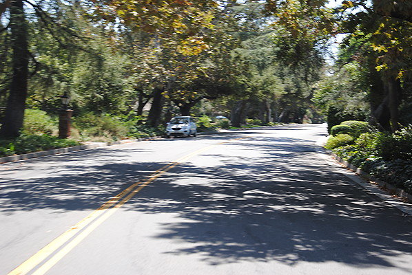 DSC 0131
