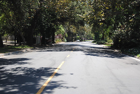 DSC 0134