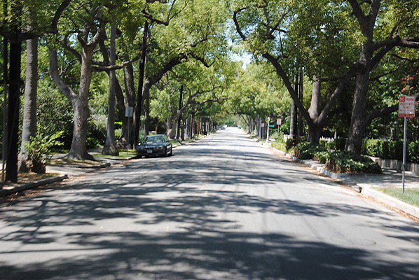 DSC 0183
