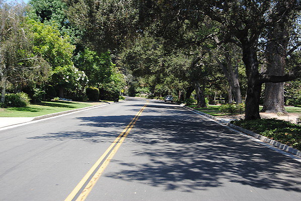 DSC 0147