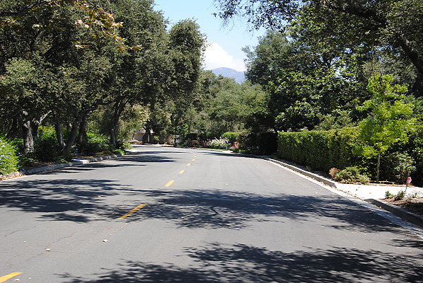 DSC 0140