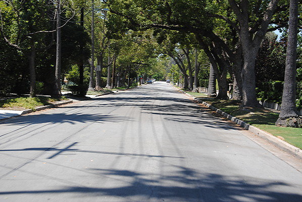 DSC 0184