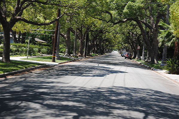 DSC 0179