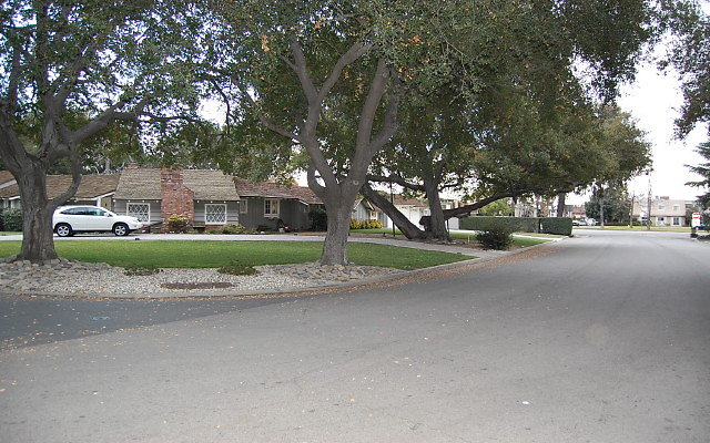 DSC 0069