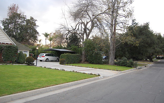 DSC 0094