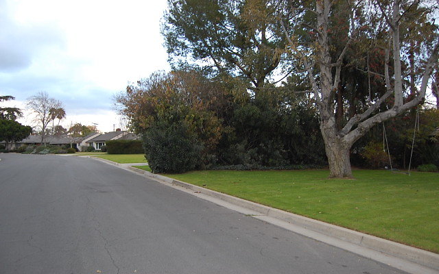 DSC 0092