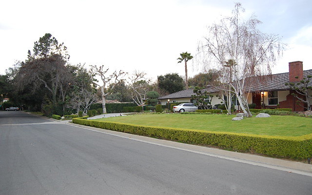 DSC 0095
