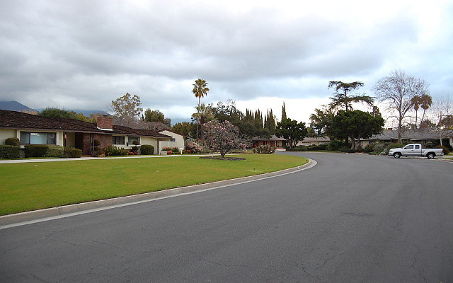 DSC 0100