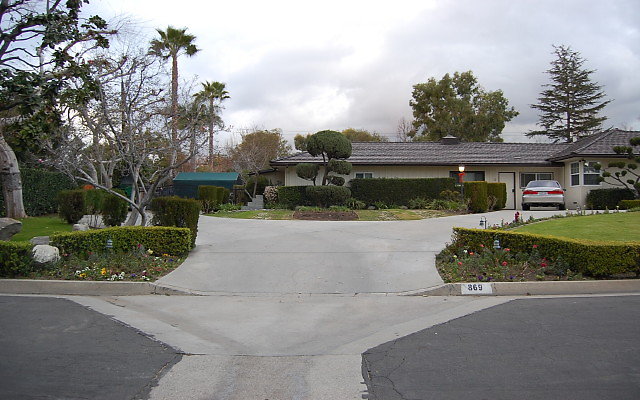 DSC 0083