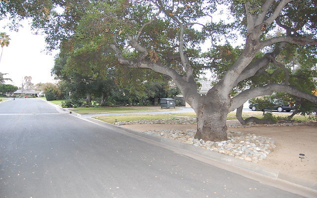 DSC 0076