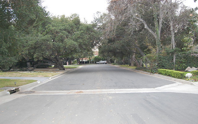 DSC 0086b