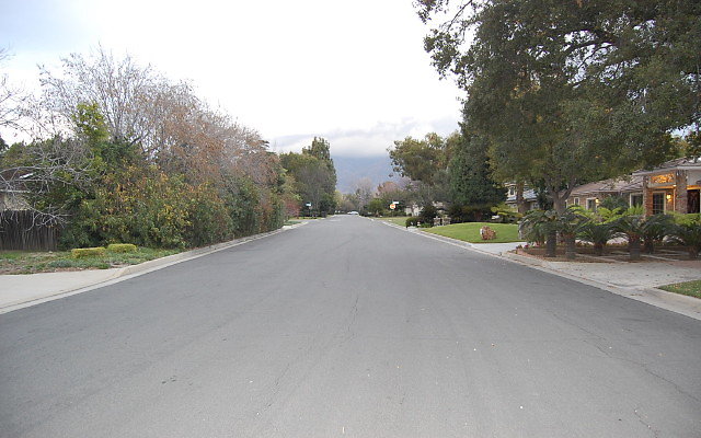 DSC 0117